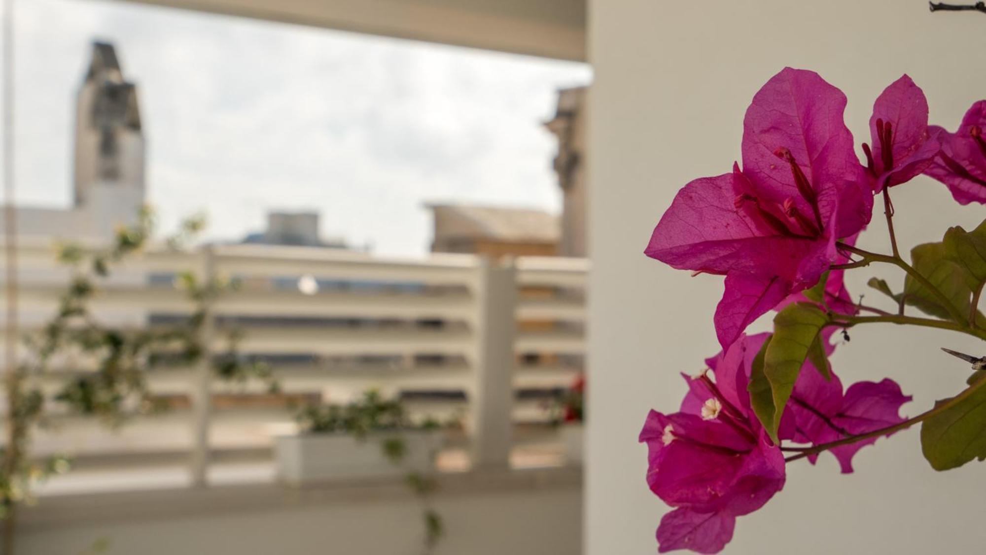 Il Vicoletto Bed & Breakfast Polignano a Mare Luaran gambar